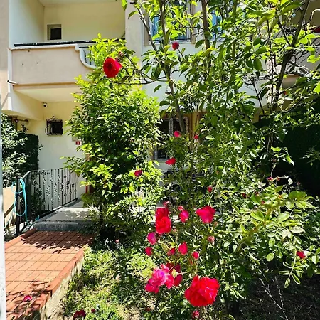 Villa Mercan Nilufer